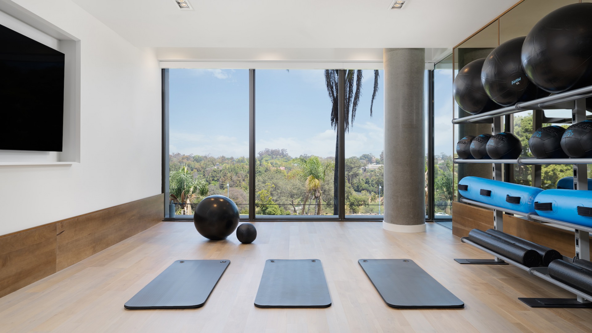 Wellness Studio with Yoga mats, tv and Balboa Park views