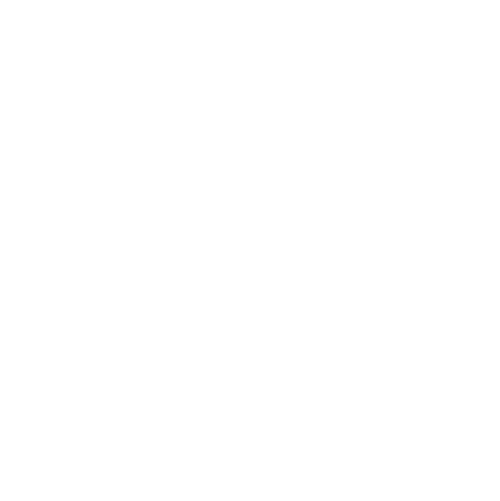  Kingsley Excellence 2024